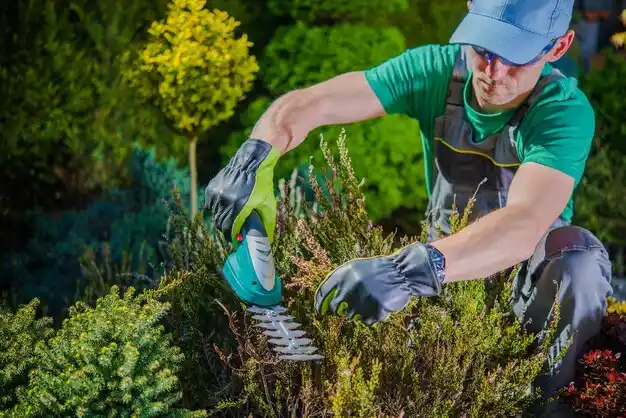 landscaping services Grand Haven